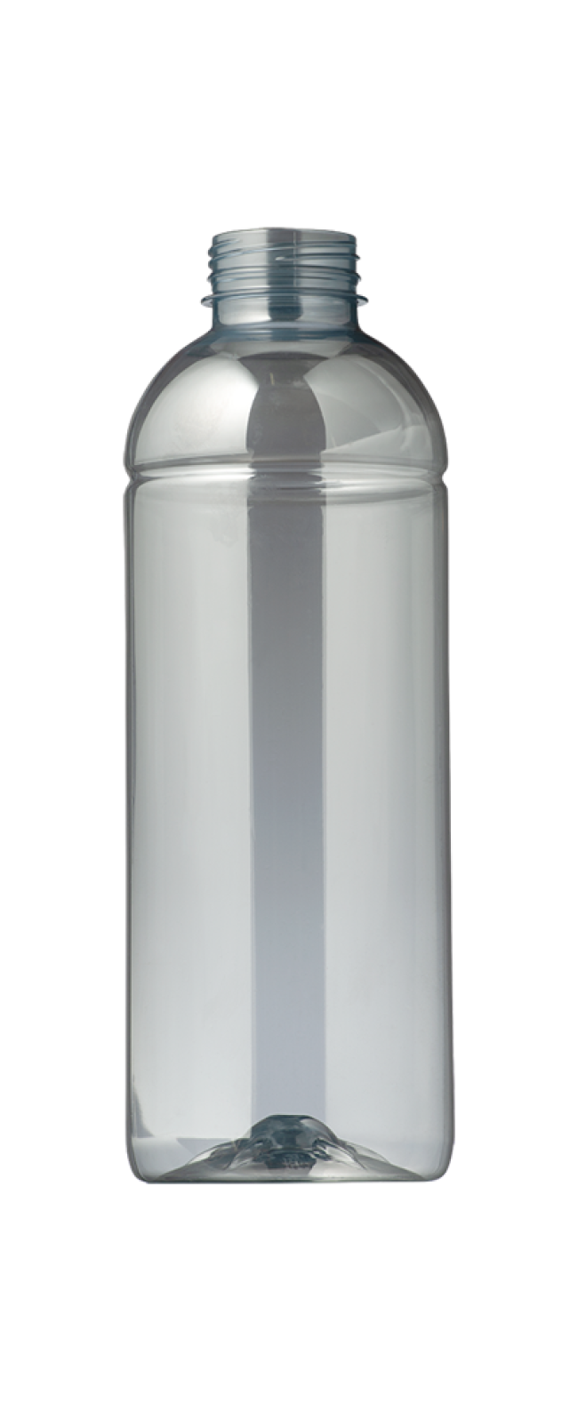 d302092-1709285167eOxZ3.png